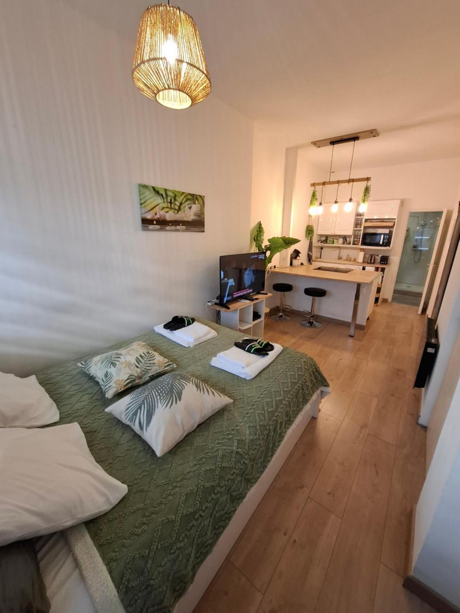 Studio La Casa De Planel Gare Saint Roch مونبيلييه المظهر الخارجي الصورة